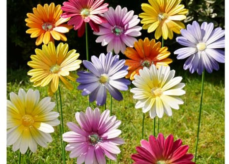 Metal Daisy Stakes, Pack of 12 Decorative Multicolored Ornament, Outdoor Novelty Flowers for Pathways, Patios & Borders, Height 57cm