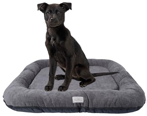 BOUTIQUE ZOO Hundebett - Wasserfest, Waschbar Hundematte aus Codura | In & Outdoor für mittelgroße Hunde | Farbe: Graphit, Größe M: 80 x 65 cm