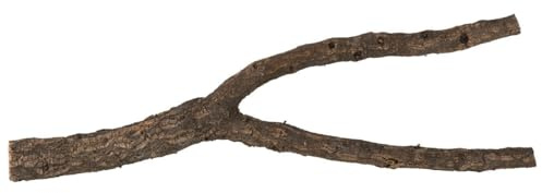 Korkast (50cm Länge) mit Gabelung von der Korkeiche | Naturkork-Rinde als Terrariumausstattung | aus nachhaltiger Ernte bei der Baumpflege | wärmdesinfiziert | Made in Portugal