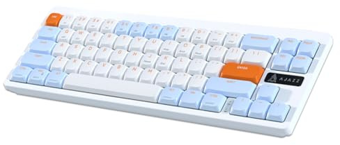 Fiorky – Clavier de Jeu sans Fil 2.4G, Mini Clavier de Bureau Double Mode, 68 Touches, Rechargeable, pour Ordinateur Portable Windows, PC Gamer (Bleu Blanc)