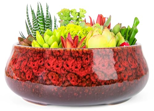 ARTKETTY Succulent Plant Pot - 20 CM Large Bonsai Pots with Drainage, Ceramic Planters for Indoor Outdoor Plants, Round Shallow Cactus Flower Plant Container Bowl