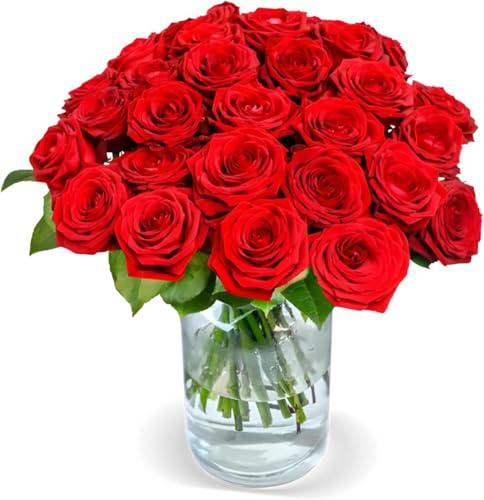 Blume Ideal Rosenstrauß - 30 Rosen - Naomi Rot - Ø 40–50 cm - Echte premium Blumen für Hochzeit & Deko - 7 Tage Frischegarantie - in verschiedenen Farben und Mengen