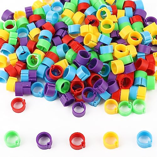 200 Stück Geflügel Fußringe, 8 mm Vogelringe Beinbänder Hähnchen Beinringe Hühner-Charm-Geflügelbeinbänder, Leicht zu Identifizieren für Küken Tauben Kleines Geflügel (5 Farben)