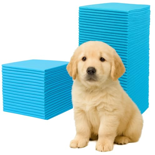 Ale-commerce 100 Stück Trainingspads für Hunde 60 x 60 cm Hundetoilette Inkontinenz Bettunterlage 6-lagiges Design Hundezubehör Schnell Trocknende Welpen Ältere Hunde Saugstarke Wickelunterlage