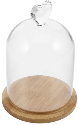 SHINEOFI Cloche en Verre Transparente avec Base en Bambou Mini Cloche pour Fleurs Éternelles et Bougies Parfumées Décoration Intérieure Romantique et Vitrine D’Objets Décoratifs Présent