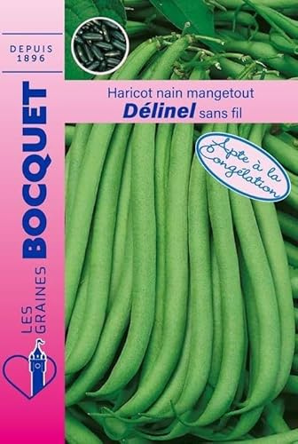 Sachet de graines de Haricot nain à filet Délinel 80g - 80 g - Haricot nain à filets sans fil - LES GRAINES BOCQUET