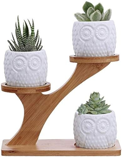 KPUY Owl Succulent Pots 3 Pcs with 3 Tier Bamboo Saucers Stand Holder, White Owl Succulent Plant Pots with Drainage and Bamboo Stand, Great for Office and Home Decor, Ideal for Gift.