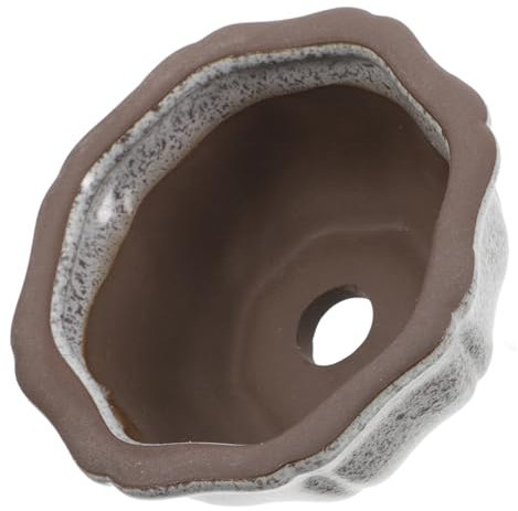 DECOMELODY Miniatur Keramik Daumen Pflanzer Für Sukkulenten Mit Abflussloch Kleiner Blumentopf Für Innen Und Außengebrauch Für Begrenzte Räume Und Gesunde Pflanzenentwicklung