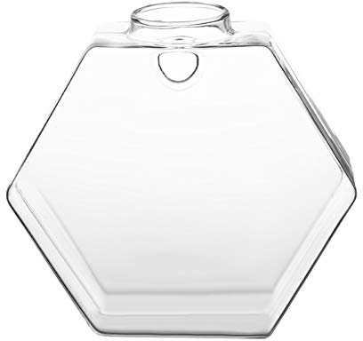 Jarrón Cristal Colgante Transparente Adhesivo para Decoración de Jardín Terrario Patio Trasero Hexagonal
