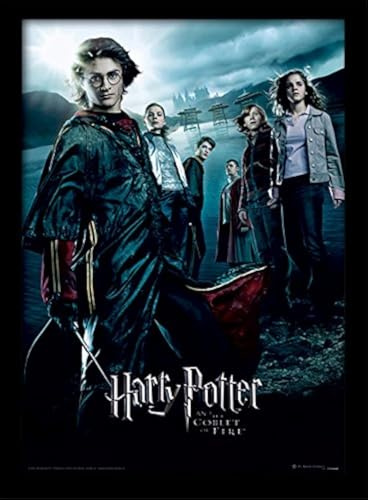 Harry Potter FP10686P-PL Goblet of Fire Framed Print, 30 x 40 cm