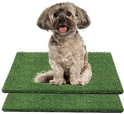 GIBZ Kunstrasen Hundeklo Gras Teppich für Hunde Waschbar Welpen Trainings Hundetoilette mit Drainageloch 2 Stücke, S, 30×30cm