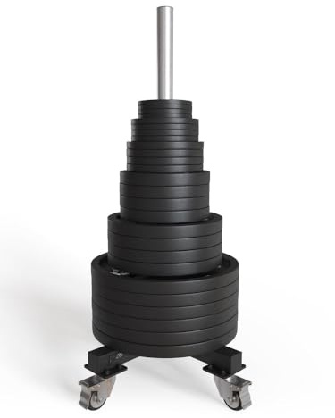 ATLETICA Speer Soporte para Discos de Pesas | 95 cm de altura, Soporte cromado, Para placas de 50 mm de diámetro