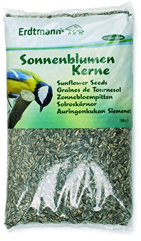ERDTMANNS - Solroskärnor utan skalade för frilevande fåglar, 2,5 kg