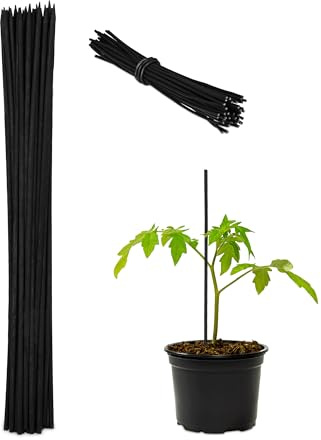Relaxdays 300x Canne di bambù 30 cm, Set 300 Bastoni 5 mm Ø, Paletto Sostegno per Piante Rampicanti o Decorazione, Nere