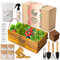 Mini Huerto Urbano Interior y Exterior - Kit de Cultivo con Semillas de Tomate Cherry, Canónigos, Rúcula y Rábanos | Plantas Naturales | Semillas Huerto Fácil y Ecológico