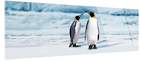 Declina Plexiglass Picture, Acrylic Glass Print, Plexiglass Photo Frame, Penguin Panorama, 80 x 30 cm 100x35 cm black / white