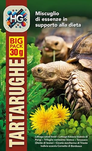 VERDEVITA® - Erba Per Tartarughe Di Terra - Miscuglio Semi In Supporto Alla Dieta Delle Tartarughe - Nutrizione Tartarughe (1 BUSTA)