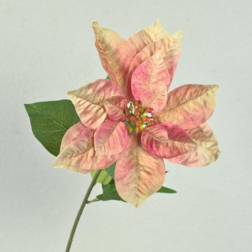 artplants.de Künstliche Poinsettia LIBASSE, Creme-rosa, 65cm | Samt Weihnachtsstern