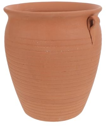 Alipis Récipient de stockage d'ail : économiseur/conservateur d'ail pour comptoir en terre cuite - Pot de pommes de terre ventilé Organisateur de cuisine de ferme pour oignons, pommes de,