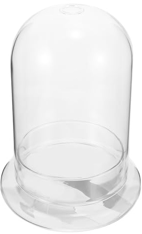 ibasenice Micropaisaje Ecológico Botella de Vidrio Transparente Grande Cúpula de Campana Cristal para Terrario Plantas y Flores Decoración Jardín Hogar Oficina