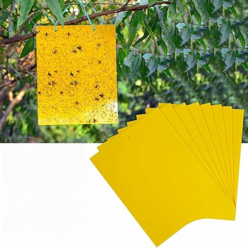 60/90 Pezzi Trappole Acchiappa Ciliegio Mosche, Mosca Dell'olivo Trappole Appiccicose Gialle Bilaterali per Insetti Volanti per Olivo, Afidi, MosceriniFungini, e Mosche Bianche (60)