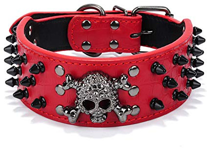 ETOPARS Collare per Cani con Teschio Rivetto, Collares a Punta per Gatto