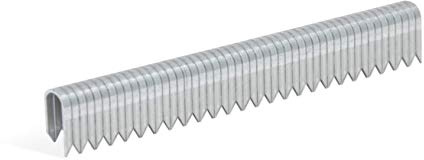 Fermagli ad arco zincato REGUR tipo 28-2.000 fermagli rotondi nella lunghezza 28/10 mm - fermagli di graffatura per il fissaggio di reti metalliche, cavi, tronchi e molto altro.