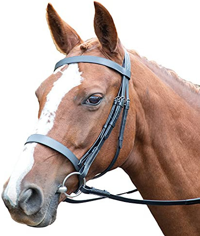 Shires Avignon Hunter Cavesson Zaumzeug, Pony, Schwarz