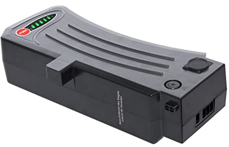 Batterie de vélo électrique SideClick Silver 24 V 13 Ah pour vélos électriques avec batterie SideClick de Prophete, Zündapp, Kreidler etc.