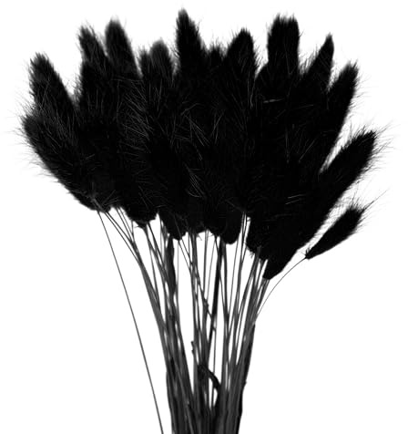 Wambere 60 Stück 40cm Natürliche Trockenblumen Deko Getrocknete Pampasgras Deko Verwelken Nie Trockenblumen Boho Deko Super Flauschig für Blumen Arrangements Heim Decor,Schwarz