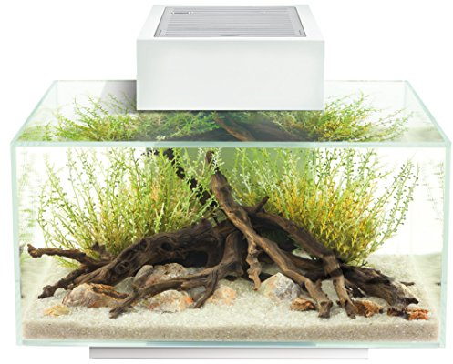 Fluval 15035 Set Acquario Edge, L