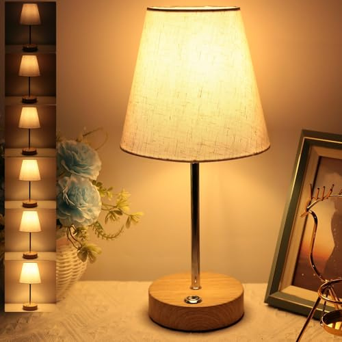 HSLighting Rechargeable Table Lamp, 300LM Cordless Lamp 12 Modern Desk Lamp for Garden Dining & Home, Stepless Dimmable Touch Control Battery Operated Portable LED Nightlight for Home, Kitchen