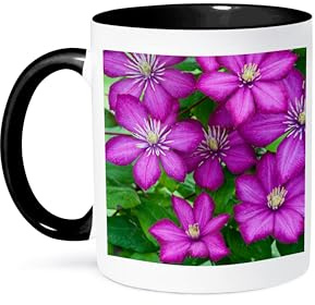3dRose Ville de Lyon clematis, Clematis sp, Marion County, Illinois 11oz Two-Tone Black Mug