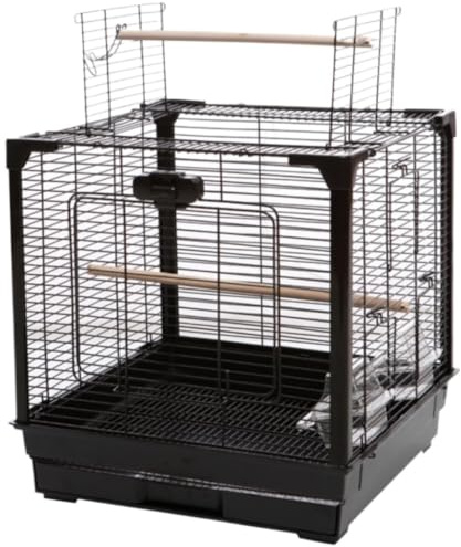Undulatbur Fågelbur Kanariefågel Fågelbur Av Smidesjärn Fågelflygburar I Plast Med Bottenbricka Papegojbur För Parakiter Flygbur för Fåglar(Black)