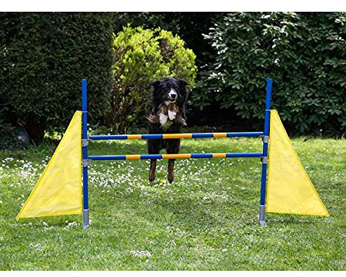 Procyon Dog Agility Profi Hürde