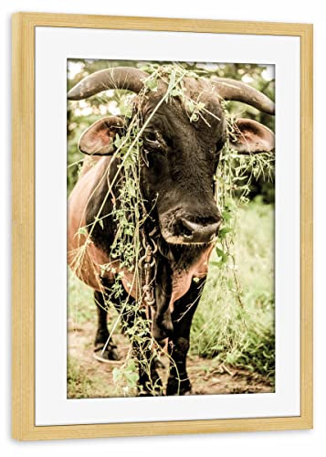 artboxONE Poster mit Rahmen Kiefer 60x40 cm Botanical Bull von Shot by Clint - gerahmtes Poster