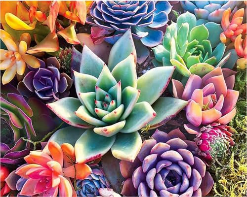 Weiniuniu 5D DIY Diamond Painting Kit Sukkulenten Kristall-Strasssteinen Bilder Set Diamond Arts Craft Malerei Erwachsene Home Wanddekoration 50x70 cm