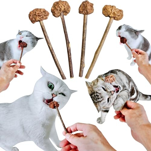 4 PCS Silvervine Stick Cat Toy with Gall Fruit – Natural Lollipop-Shaped Matatabi Chew Toy for Cats – Catnip Alternative for Teeth Cleaning, Anxiety Relief & Interactive Play – 4.8 Cat Dental Toy