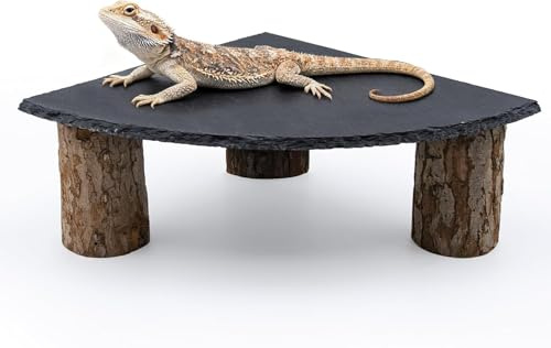 Dnoifne Bearded Dragon Basking Platform with Slate Rock and Wooden Pile, Leopard Gecko Hides and Caves, Reptile Tank Accessories for Bearded Dragons, Geckos, Ball Pythons, Tortoises - 20 × 20 cm