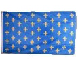 Digni® Drapeau France Fleur-de-Lys, Bleu 90 x 150 cm