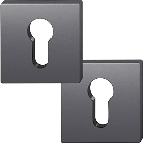 FSB Zylinderrosette quadratisch 12 1704 00010 ASL, Aluminium schwarz matt
