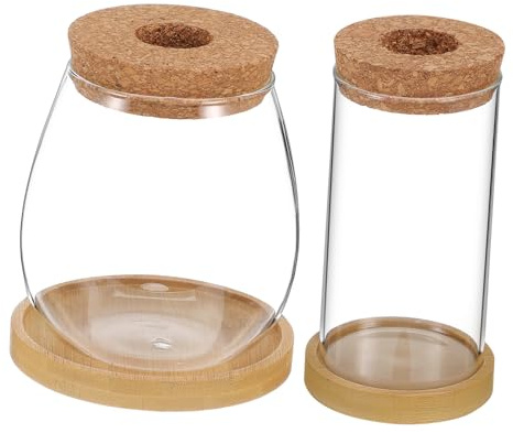 TOYZFRIENDY 2 pièces Lot de Vases Verre Borosilicate pour Bouturage Hydroponique avec Plateau Pots Terrariums Transparents pour Plantes Dintérieur Décorations Faciles à Entretenir