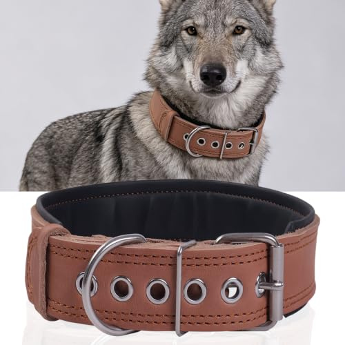 Gepolstertes Lederhalsband für große Hunde（Braun, L） | Gepolstertes Strapazierfähig aus Echtem Leder für Mittelgroße und Extra Große Hunderassen