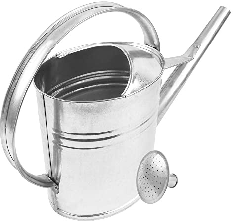 BAUSTER® Zinkgießkanne 8L – Verzinkte Metallgießkanne mit Gießbrause, Robuste Gartengießkanne aus Stahl für Innen- & Außenbereich, Ideal zum Blumen Gießen & Gartenbewässerung