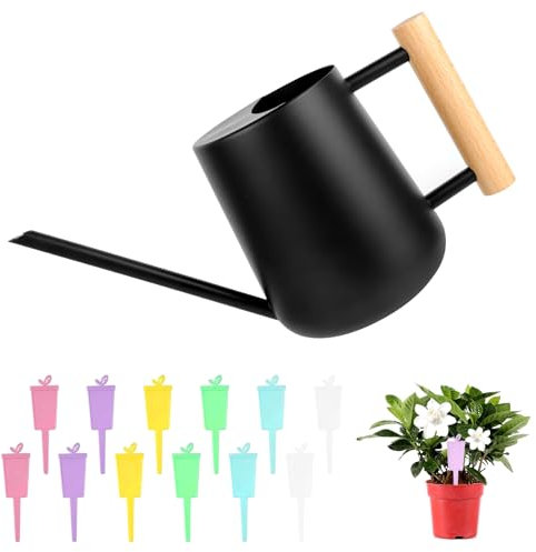 Annaffiatoio per piante da interno, in acciaio inox nero, piccole piante in vaso, in acciaio inox, con beccuccio lungo, piccole piante in vaso, per casa, ufficio, piante grasse per interni