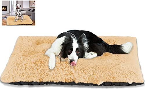 Plüsch HundeBett Hundesofa, Orthopäisches Waschbare Hundebetten, für Kleine Mittlere Große Hunde, rutschfest Weiches Hundekorb Hundekörbchen-Beige|| S (53×38×12cm)