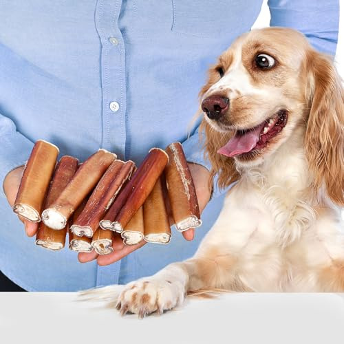 Rinderpizzle für Hunde 12cm Größe L, 10 Stück (400g)