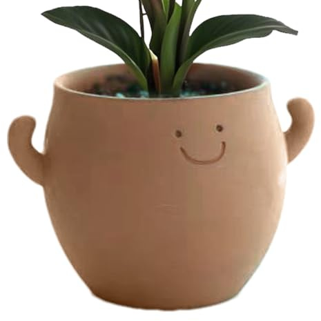 Pot de fleurs en céramique, pot de fleurs succulentes, pot de fleurs grasses, pot de visage souriant, 12 x 9 x 7 cm, décoration de jardin, design de trou de drainage, pour intérieur et extérieur