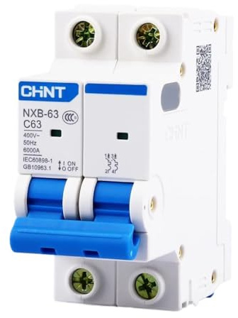 WANGBINGXING Disjoncteur Disjoncteur Miniature NXB-63 2P 2A 10A 16A 32A 40A 63A 80A 100A Courbe C AC 230/400V Montage sur Rail DIN Miniature Domestique(2A)