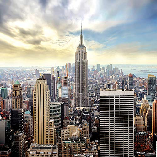 Consalnet Wallpapper 2317VEXXL Panorama City New York Papier Peint intissé 3 Bandes 130 g/m² Colle Incluse Blanc Bleu 312 x 219 cm